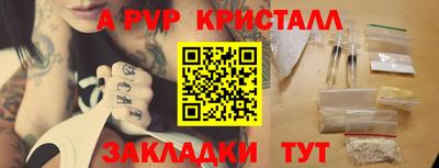 гидра Кингисепп