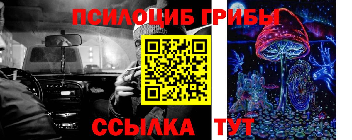 Псилоцибиновые грибы Psilocybine cubensis  цены наркотик  Псилоцибиновые грибы ЛСД  Коряжма  Вход с VPN 